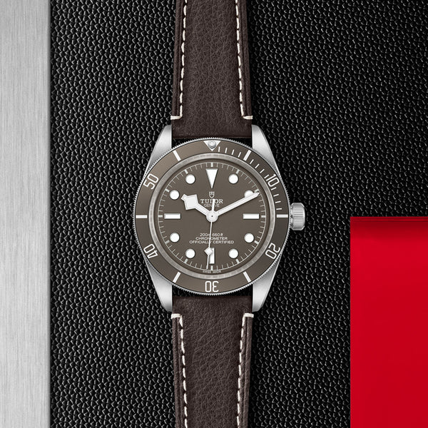 TUDOR BLACK BAY FIFTY-EIGHT 39MM (Image 2)