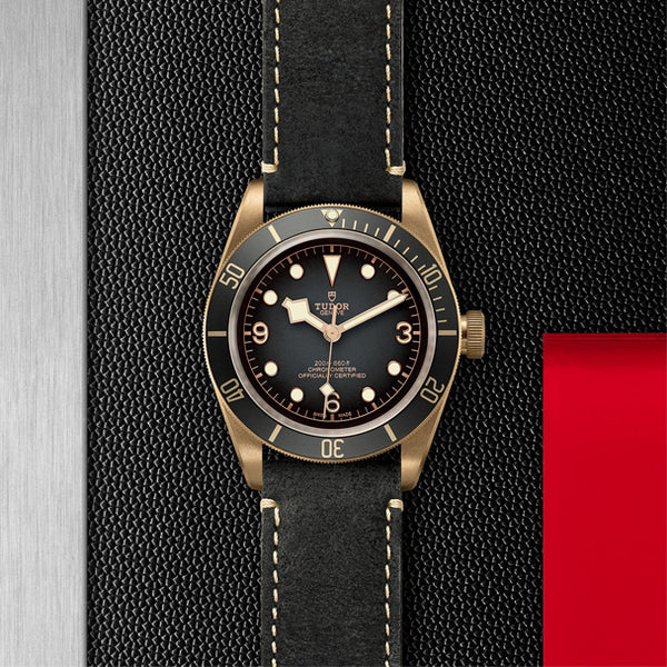 TUDOR BLACK BAY BRONZE 43MM (Image 2)