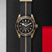 TUDOR BLACK BAY BRONZE 43MM (Thumbnail 2)