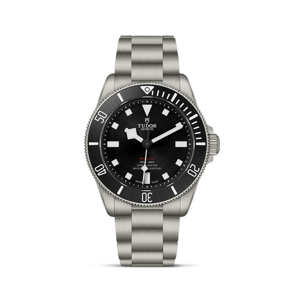 TUDOR PELAGOS 39MM (Image 1)