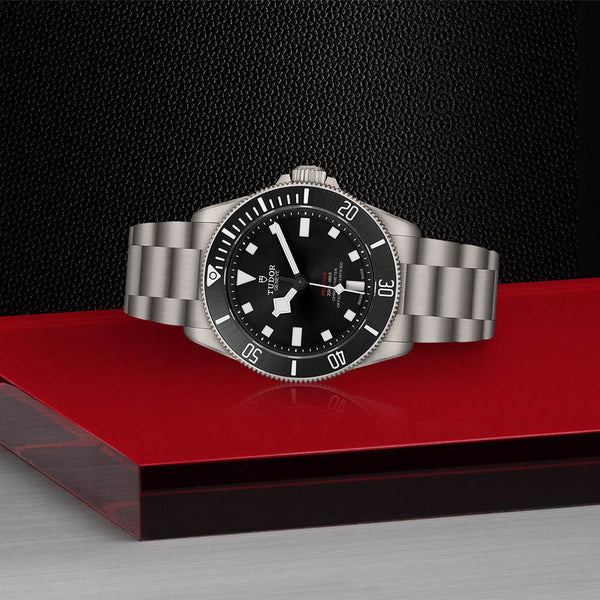 TUDOR PELAGOS 39MM (Image 2)