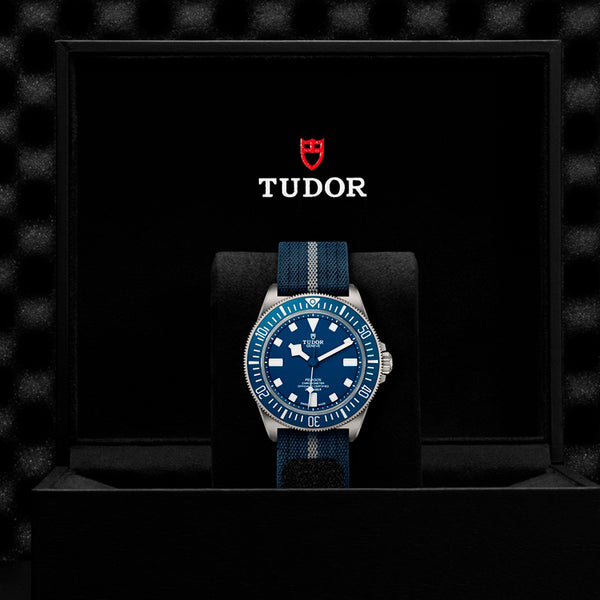 TUDOR TUDOR PELAGOS 42 TITANIUM AND STEEL (Image 3)