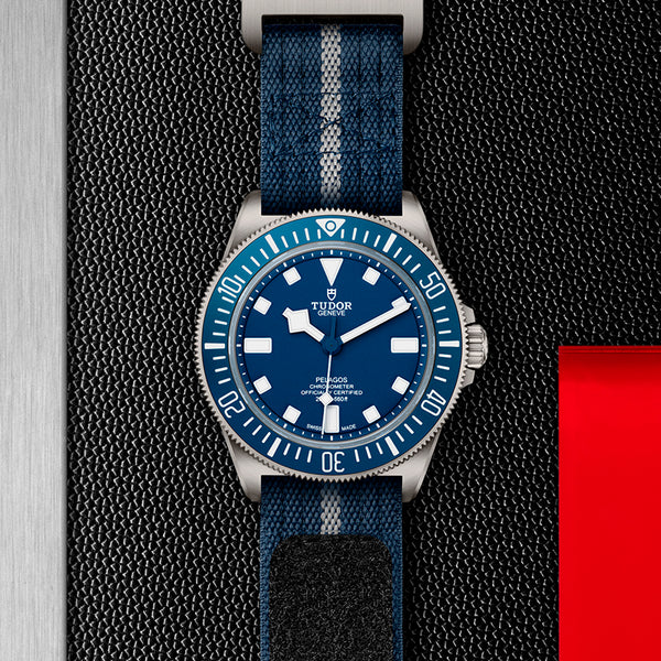 TUDOR TUDOR PELAGOS 42 TITANIUM AND STEEL (Image 2)