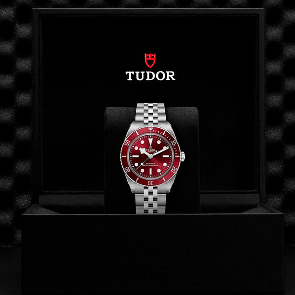 TUDOR BLACK BAY 58 STEEL 39MM (Image 3)