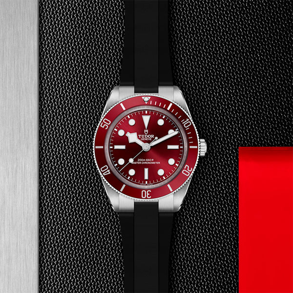 TUDOR BLACK BAY FIFTY-EIGHT STEEL 39MM (Image 2)