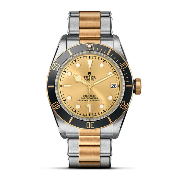 TUDOR BLACK BAY S&G 41MM (Image 1)