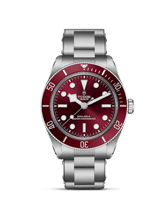 Tudor Black Bay 58 banner image