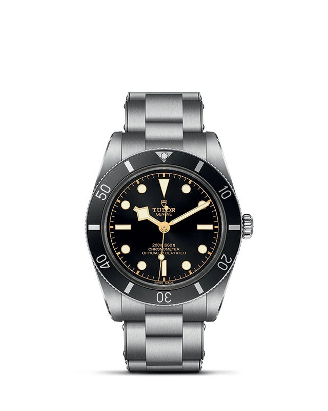 Tudor Black Bay 54