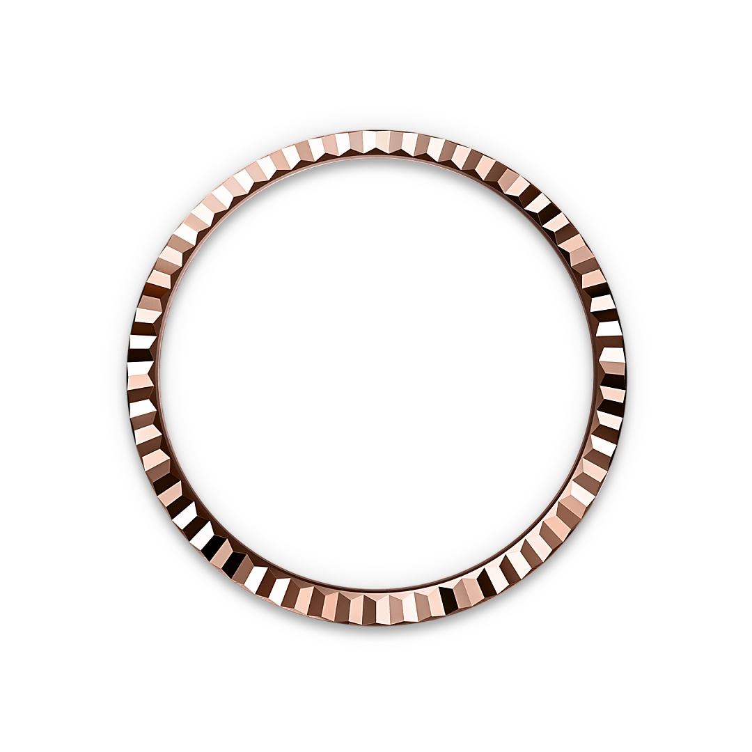 Land-Dweller Fluted bezel image