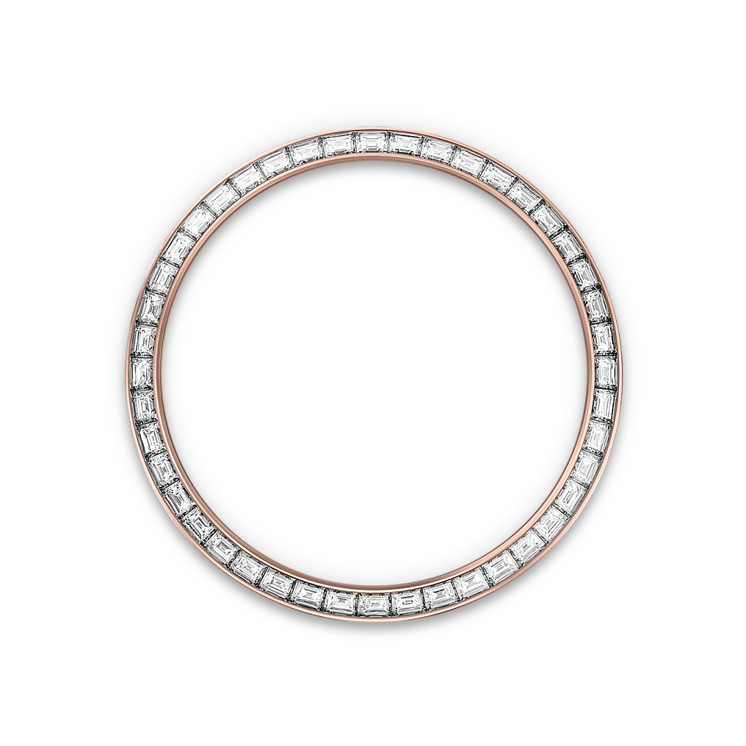 Land-Dweller Diamond-set bezel image