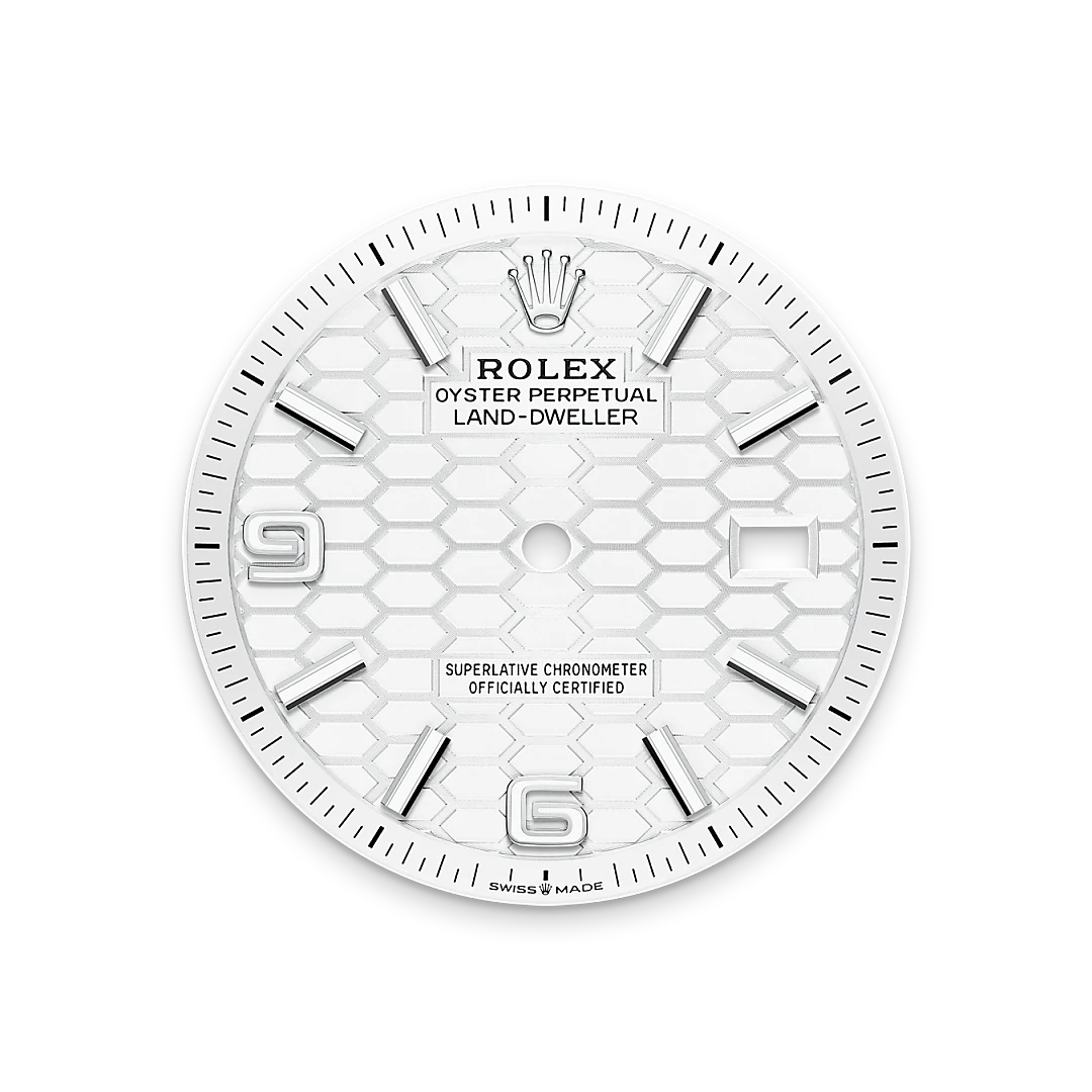 Land-Dweller Intense white dial image