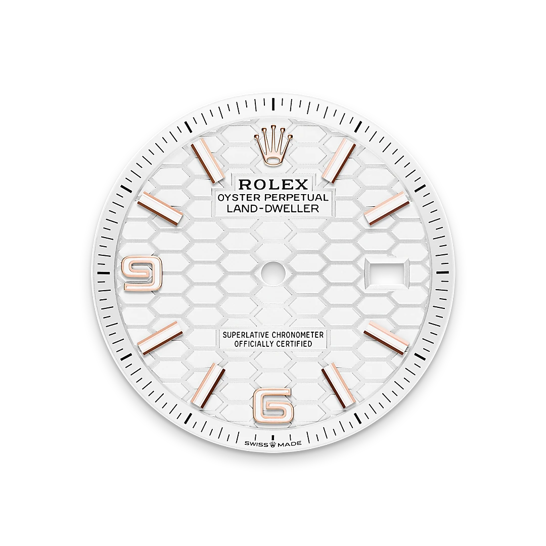 Land-Dweller Intense white dial image