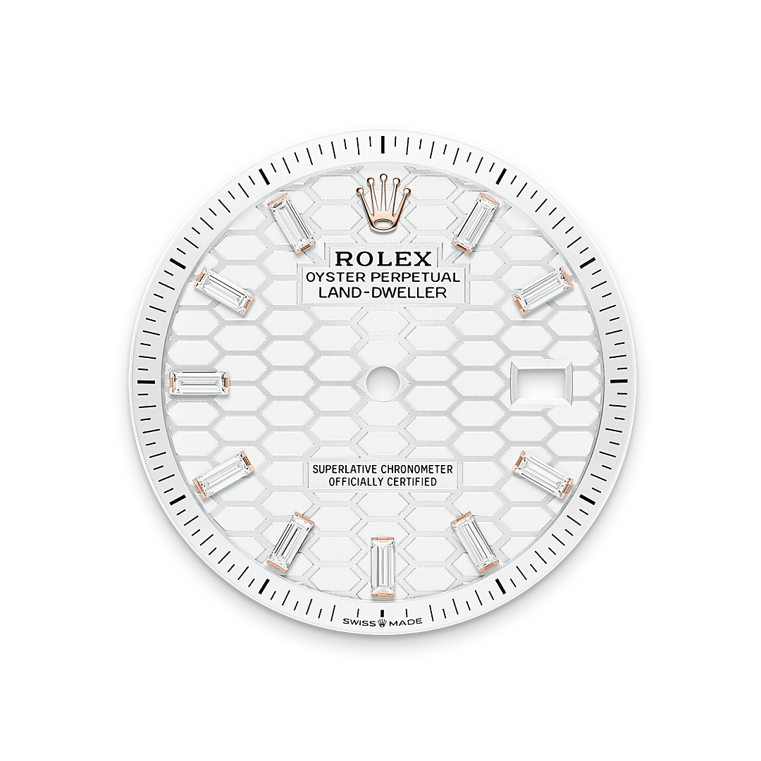 Land-Dweller Intense white dial image