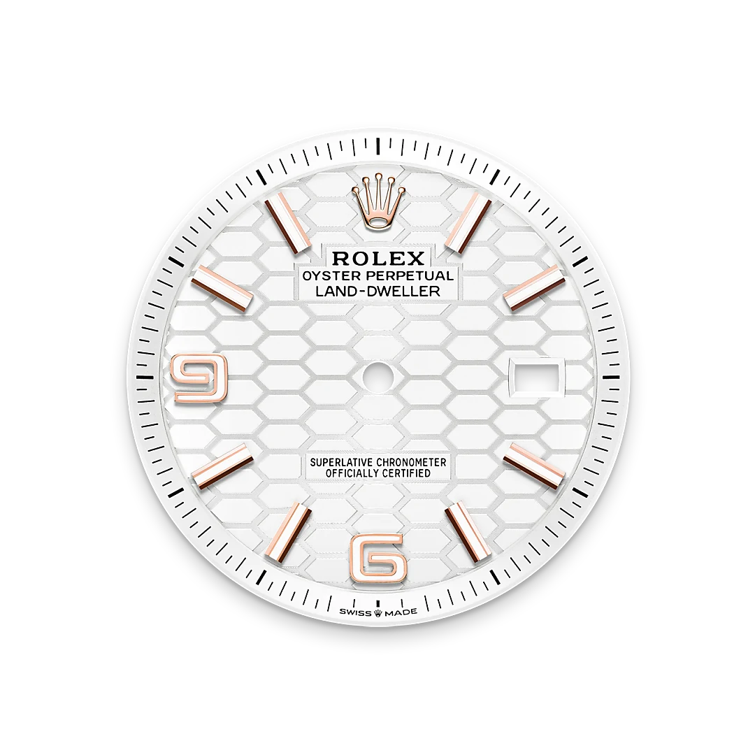 Land-Dweller Intense white dial image
